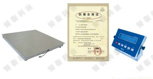 防爆型電子平臺(tái)秤