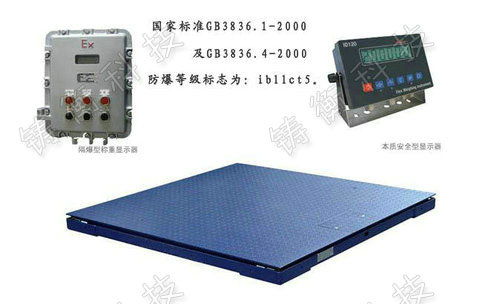 防爆型電子平臺(tái)秤