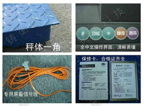 防爆型電子平臺(tái)秤